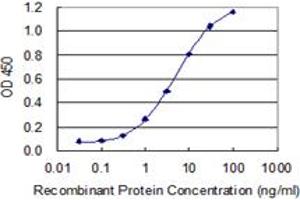 Detection limit for recombinant GST tagged MFAP3 is 0. (MFAP3 抗体  (AA 262-362))