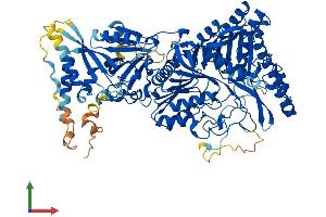 AlphaFold protein structure predicition of Mouse Recombinant Pld2 Protein, UniprotID P97813