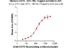 ELISA plate pre-coated by 2 μg/mL (100 μL/well) CD70,mFc-His tagged protein(ABIN6961112) can bind Anti-CD70 Neutralizing antibody in a linear range of 3. (CD70 Protein (mFc-His Tag))