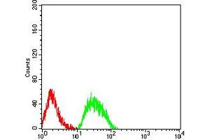 Flow cytometric analysis of SK-N-SH cells using CHRNE mouse mAb (green) and negative control (red). (CHRNE 抗体  (AA 21-239))