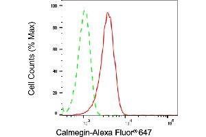 Flow cytometric analysis of Calmegin expression in HeLa cells using Calmegin antibody (ABIN7797841), 1:2,000). (Recombinant Calmegin 抗体)