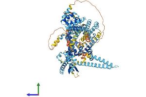 Protein Structure (PS) image for Sorting Nexin 25 (SNX25) (AA 1-840) protein (His tag) (ABIN7557361)