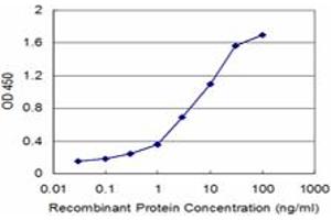 Detection limit for recombinant GST tagged HOXB5 is approximately 0. (HOXB5 抗体  (AA 170-267))
