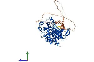Protein Structure (PS) image for CDC-Like Kinase 4 (CLK4) (AA 1-481) protein (His tag) (ABIN7546564)