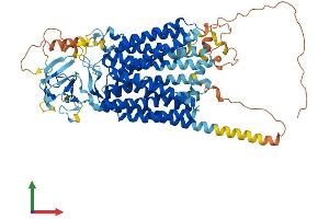 Protein Structure (PS) image for Solute Carrier Organic Anion Transporter Family, Member 1C1 (SLCO1C1) (AA 1-715) protein (His tag) (ABIN7565048)