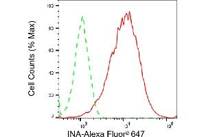 Flow cytometric analysis of INA expression in A549 cells using INA antibody (ABIN7799118), 1:2,000). (Recombinant INA 抗体)