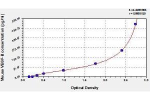Typical standard curve (VEGFB ELISA 试剂盒)