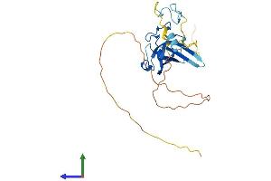 Protein Structure (PS) image for Zinc Finger, CCHC Domain Containing 17 (ZCCHC17) (AA 1-241) protein (His tag) (ABIN7561488)