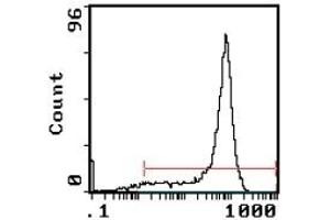 FLOW CYTOMETRY ANALYSIS Cell Source: Thymus Percentage of cells stained above control: 92. (CD8 抗体  (Biotin))