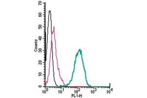 Cell surface detection of ADAM10 by indirect flow cytometry in live intact human THP-1 monocytic leukemia cells: (black line) Cells. (ADAM10 抗体  (Extracellular, N-Term))