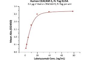 Immobilized Human CEACAM-5, Fc Tag (ABIN6992396) at 1 μg/mL (100 μL/well) can bind Labetuzumab with a linear range of 1-10 ng/mL (QC tested). (CEACAM5 Protein (AA 35-685) (Fc Tag))