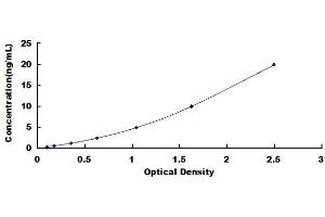 Typical standard curve (BCL9L ELISA 试剂盒)