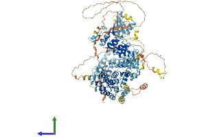Protein Structure (PS) image for Ankyrin Repeat Domain 27 (VPS9 Domain) (ANKRD27) (AA 1-1048) protein (His tag) (ABIN7563734)
