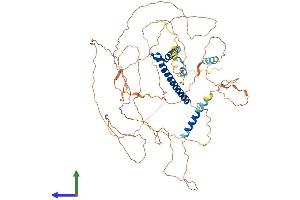 Protein Structure (PS) image for Transcription Factor 4 (TCF4) (AA 1-670) protein (His tag) (ABIN7563873)