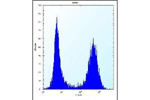 SC Antibody (N-term) 12299a flow cytometric analysis of K562 cells (right histogram) compared to a negative control cell (left histogram). (SREBF chaperone 抗体  (N-Term))