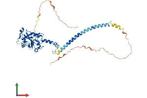 Protein Structure (PS) image for Phosphate Cytidylyltransferase 1, Choline, alpha (PCYT1A) (AA 1-367) protein (His tag) (ABIN7550583)