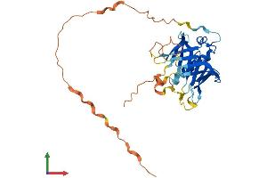 Protein Structure (PS) image for phospholipid Scramblase 3 (PLSCR3) (AA 1-295) protein (His tag) (ABIN7550833)
