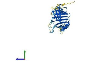 AlphaFold protein structure predicition of Mouse Recombinant Itm2a Protein, UniprotID Q61500