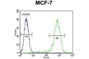 Flow Cytometry (FACS) image for anti-LysM, Putative Peptidoglycan-Binding, Domain Containing 4 (LYSMD4) (AA 40-69), (N-Term) antibody (ABIN953262)
