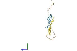 Protein Structure (PS) image for Small Nuclear Ribonucleoprotein 27kDa (U4/U6.U5) (SNRNP27) (AA 1-155) protein (His tag) (ABIN7559463)