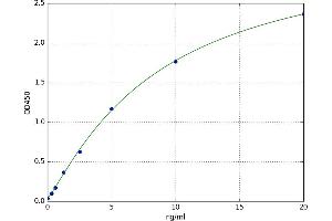 A typical standard curve (HSPA4 ELISA 试剂盒)