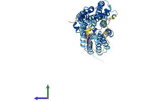 Protein Structure (PS) image for Solute Carrier Family 17 (Acidic Sugar Transporter), Member 5 (SLC17A5) (AA 1-495) protein (His tag) (ABIN7555398)