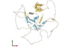 Protein Structure (PS) image for Zinc Finger Protein 509 (ZBTB49) (AA 1-765) protein (His tag) (ABIN7556109)