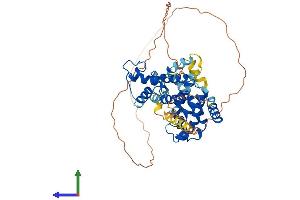 AlphaFold protein structure predicition of Human Recombinant NR1H4 Protein, UniprotID Q96RI1