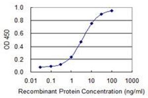 Detection limit for recombinant GST tagged AHCYL1 is 0. (AHCYL1 抗体  (AA 1-101))