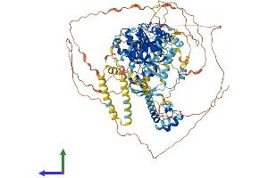 Protein Structure (PS) image for SEC23 Interacting Protein (SEC23IP) (AA 1-1000) protein (His tag) (ABIN7555365)