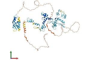 Protein Structure (PS) image for Zinc Finger and BTB Domain Containing 48 (ZBTB48) (AA 1-688) protein (His tag) (ABIN7545719)