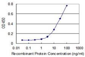Detection limit for recombinant GST tagged IDI2 is 1 ng/ml as a capture antibody. (IPP Isomerase 2 抗体  (AA 1-227))