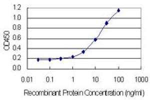 Detection limit for recombinant GST tagged OR1I1 is 0. (OR1I1 抗体  (AA 293-355))