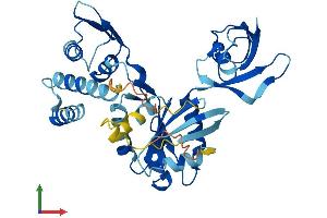 AlphaFold protein structure predicition of Mouse Recombinant Drg2 Protein, UniprotID Q9QXB9