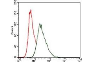 Flow Cytometry (FACS) image for anti-Heat Shock Transcription Factor 4 (HSF4) antibody (ABIN1107497) (HSF4 抗体)