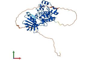 AlphaFold protein structure predicition of Mouse Recombinant Tssk1b Protein, UniprotID Q61241