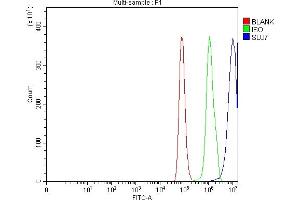 Flow Cytometry analysis of Hela cells using anti-SLU7 antibody (ABIN7601697).