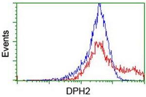 HEK293T cells transfected with either RC201382 overexpress plasmid (Red) or empty vector control plasmid (Blue) were immunostained by anti-DPH2 antibody (ABIN2455862), and then analyzed by flow cytometry. (DPH2 抗体)