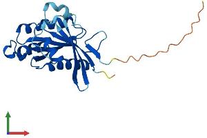 Protein Structure (PS) image for RAB39B, Member RAS Oncogene Family (RAB39B) (AA 1-213) protein (His tag) (ABIN7551234)