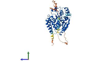 Protein Structure (PS) image for Glucoside Xylosyltransferase 2 (GXYLT2) (AA 1-444) protein (His tag) (ABIN7558472)