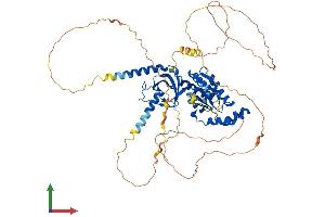 Protein Structure (PS) image for Calcium Channel, Voltage-Dependent, beta 1 Subunit (CACNB1) (AA 1-597) protein (His tag) (ABIN7559751)