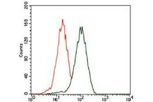 Flow cytometric analysis of HEK293 cells using PHC1 mouse mAb (green) and negative control (red). (PHC1 抗体  (AA 758-1004))
