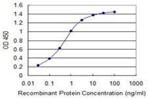 Detection limit for recombinant GST tagged IDH2 is 0. (IDH2 抗体  (AA 354-451))
