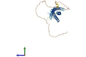 Protein Structure (PS) image for Tetraspanin 32 (TSPAN32) (AA 1-320) protein (His tag) (ABIN7544876)