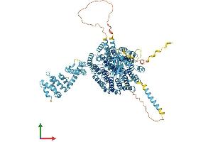 Protein Structure (PS) image for Proteasome (Prosome, Macropain) 26S Subunit, Non-ATPase, 1 (PSMD1) (AA 1-953) protein (His tag) (ABIN7563680)