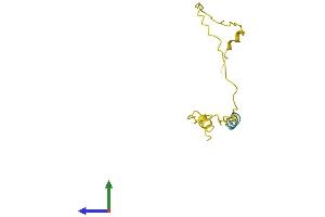 AlphaFold protein structure predicition of Human Recombinant PAGE2B Protein, UniprotID Q5JRK9 (PAGE2B Protein (AA 1-111) (His tag))