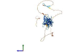 AlphaFold protein structure predicition of Human Recombinant PLEKHA1 Protein, UniprotID Q9HB21 (PLEKHA1 Protein (AA 1-404) (His tag))