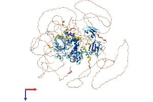 RGS12 Protein (AA 1-1447) (His tag)