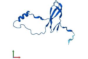 Protein Structure (PS) image for Ribosomal Protein L36a-Like (RPL36AL) (AA 1-106) protein (His tag) (ABIN7551452)