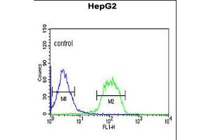 Flow cytometric analysis of HepG2 cells (right histogram) compared to a negative control cell (left histogram). (F-Box Protein 3 抗体  (C-Term))